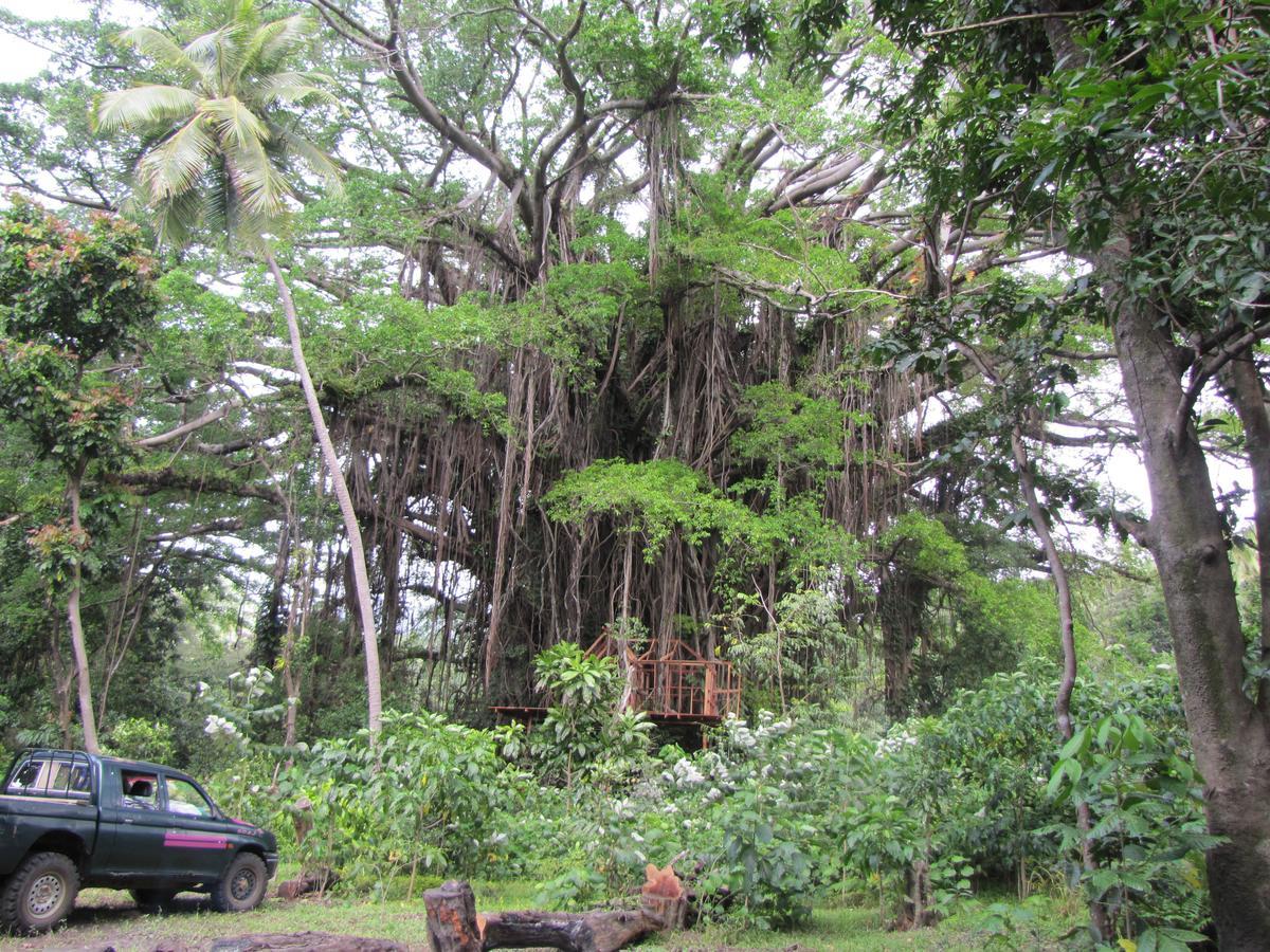 Yasur View Bungalows Loanengo Luaran gambar